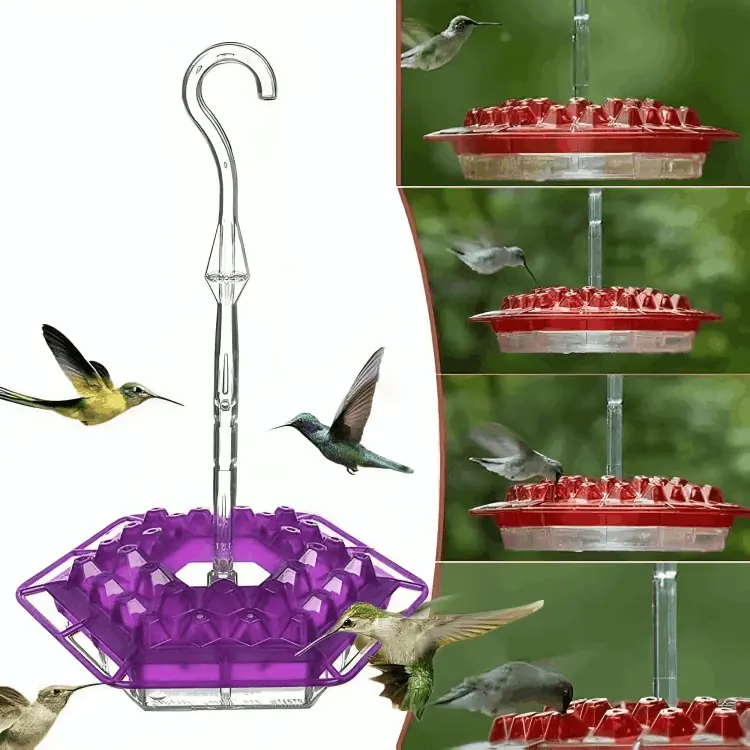 How to use Hummingbird feeder Sherem