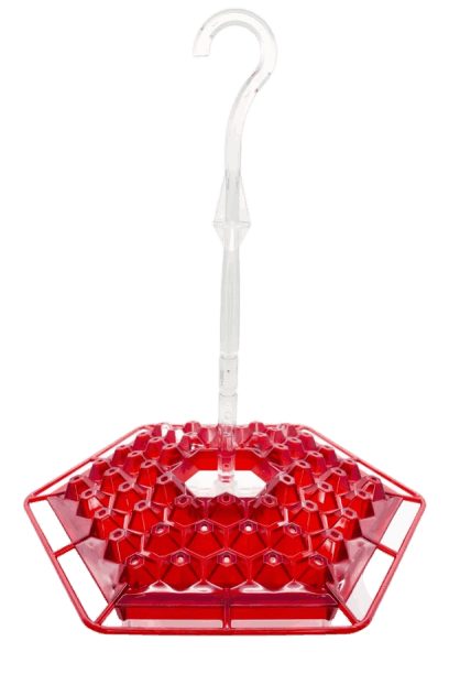 Hummingbird feeder Sherem