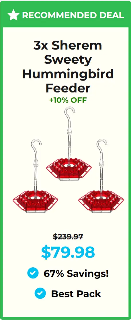 Hummingbird feeder Sherem price 