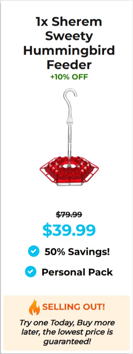 Hummingbird feeder Sherem offer package price 