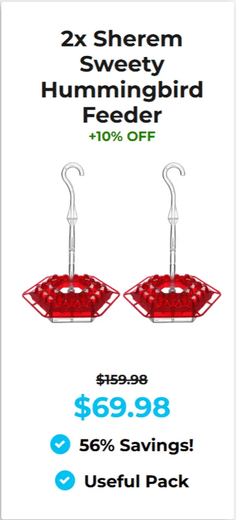 Hummingbird feeder Sherem offer price 