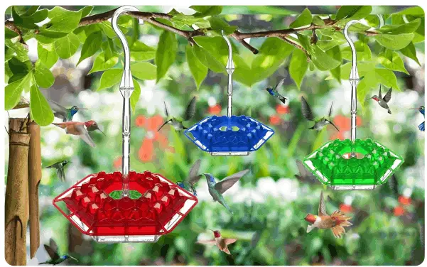 Hummingbird feeder Sherem